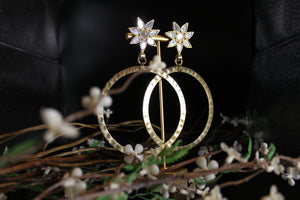 Sitarra Mirrored Earrings